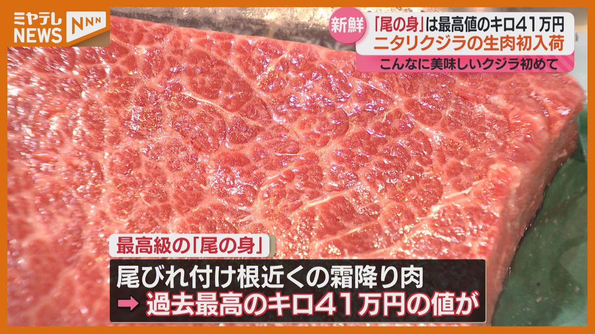 1キロ41万円！？ ニタリクジラ生肉が初入荷「最高。うまい！」県内のスーパーや寿司店に　仙台市