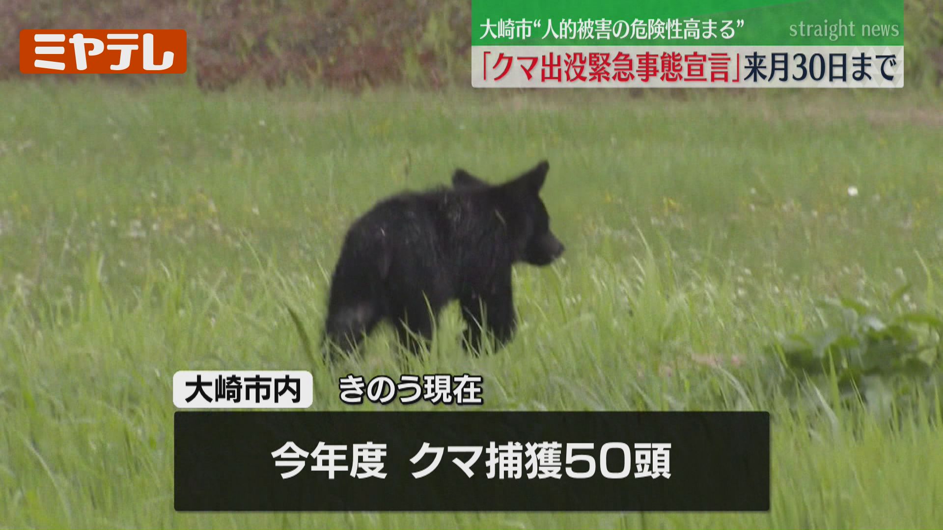 クマによる人的被害の危険性高まる…市独自の『クマ出没緊急事態宣言