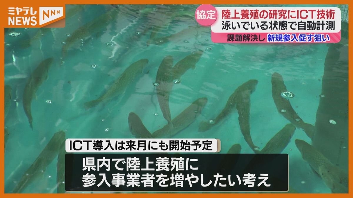陸上養殖の研究施設、NTT東日本が技術提供へ　宮城県と連携協定（石巻市）