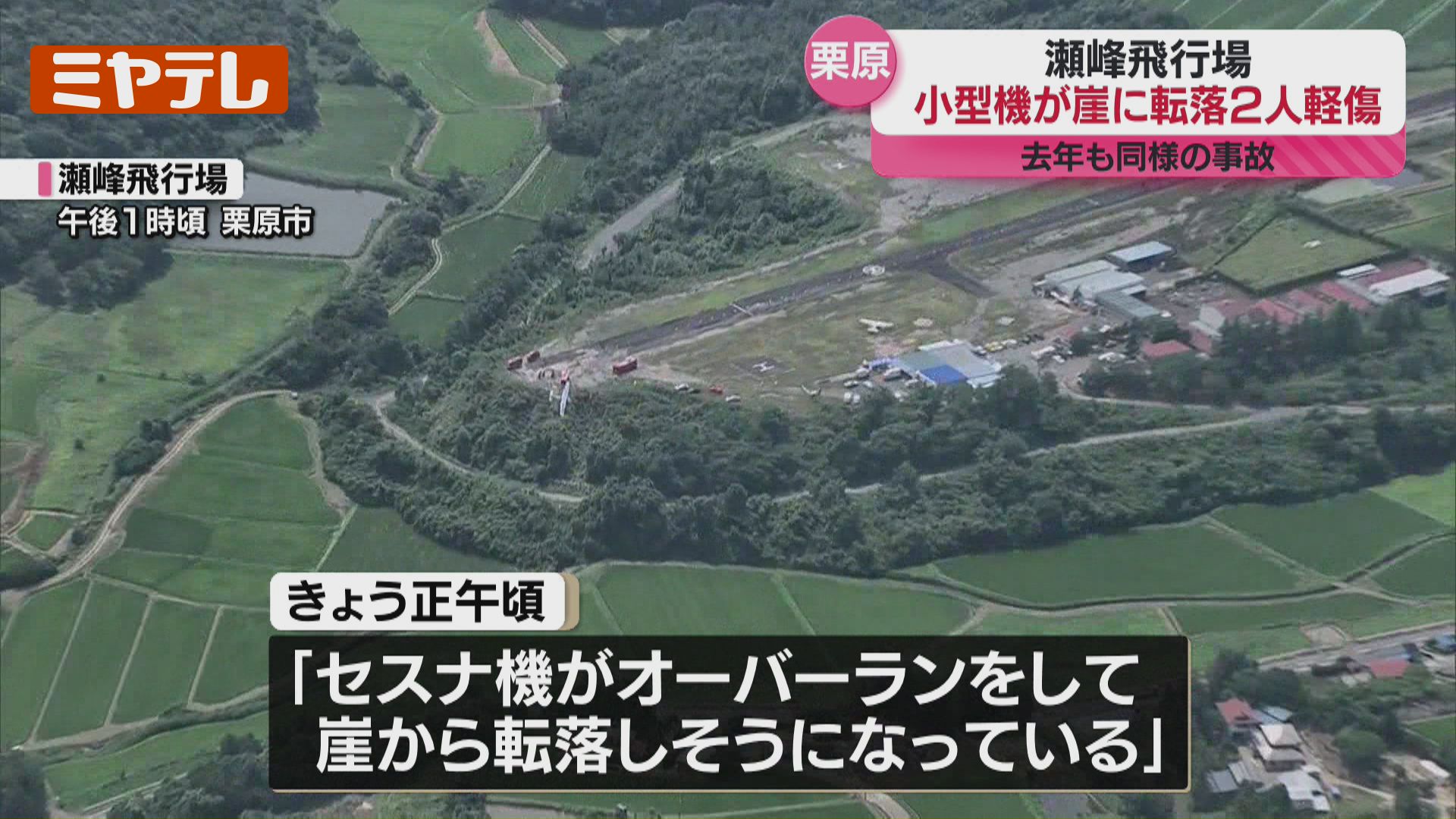 事故映像 A monkey nearly gets run over by a gal's car and lashes out, but