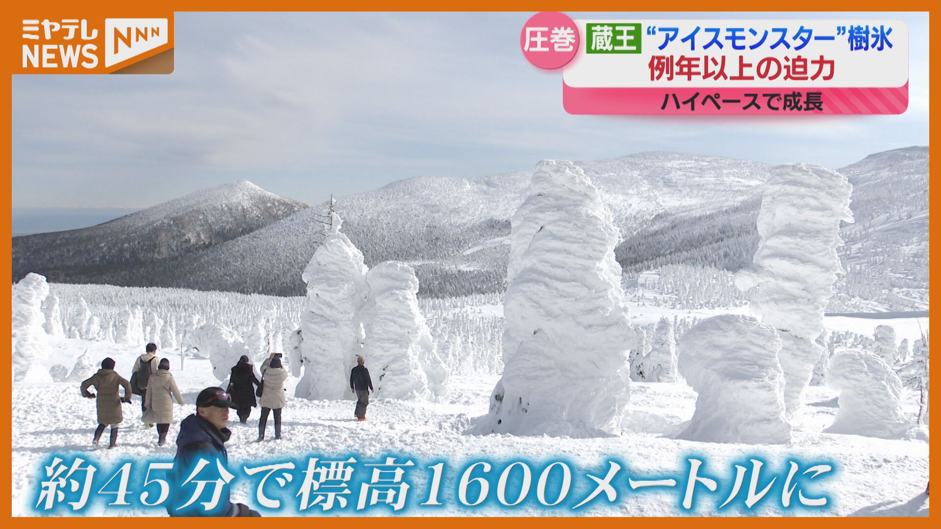 例年以上の大迫力！蔵王の樹氷、5メートル越えのアイスモンスター