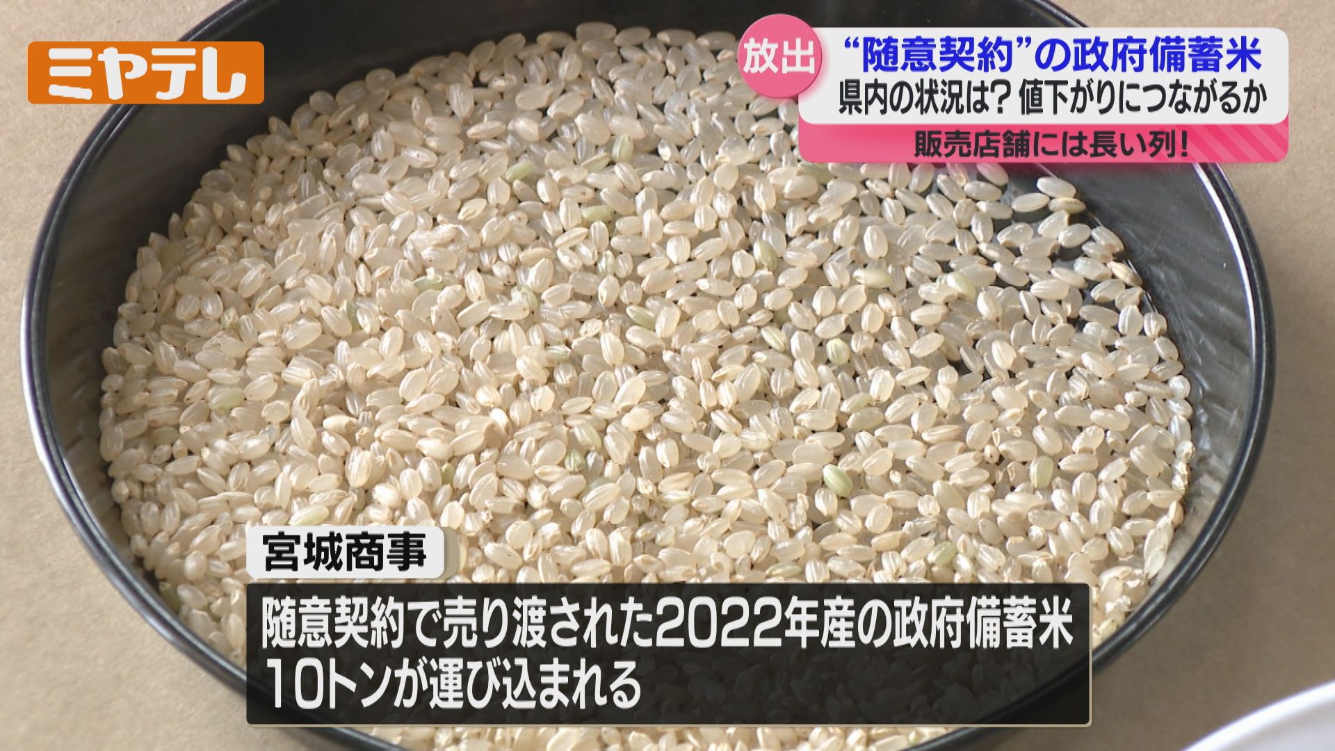 備蓄米＞店頭販売始まる、コメの値下がりにつながるのか（宮城）（2025