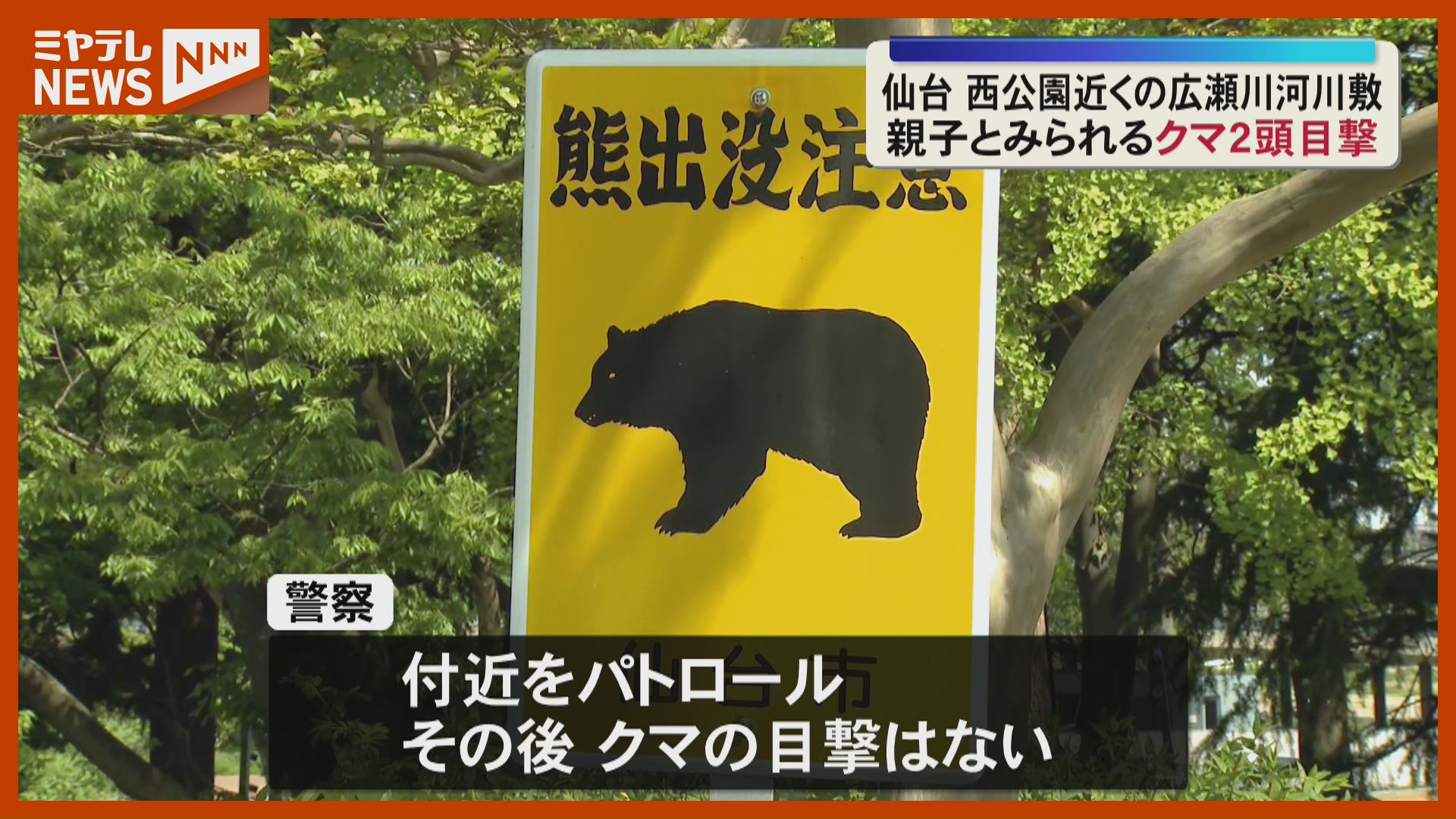 クマ目撃】仙台市中心部『西公園』近くで…広瀬川の河川敷で、親子とみ