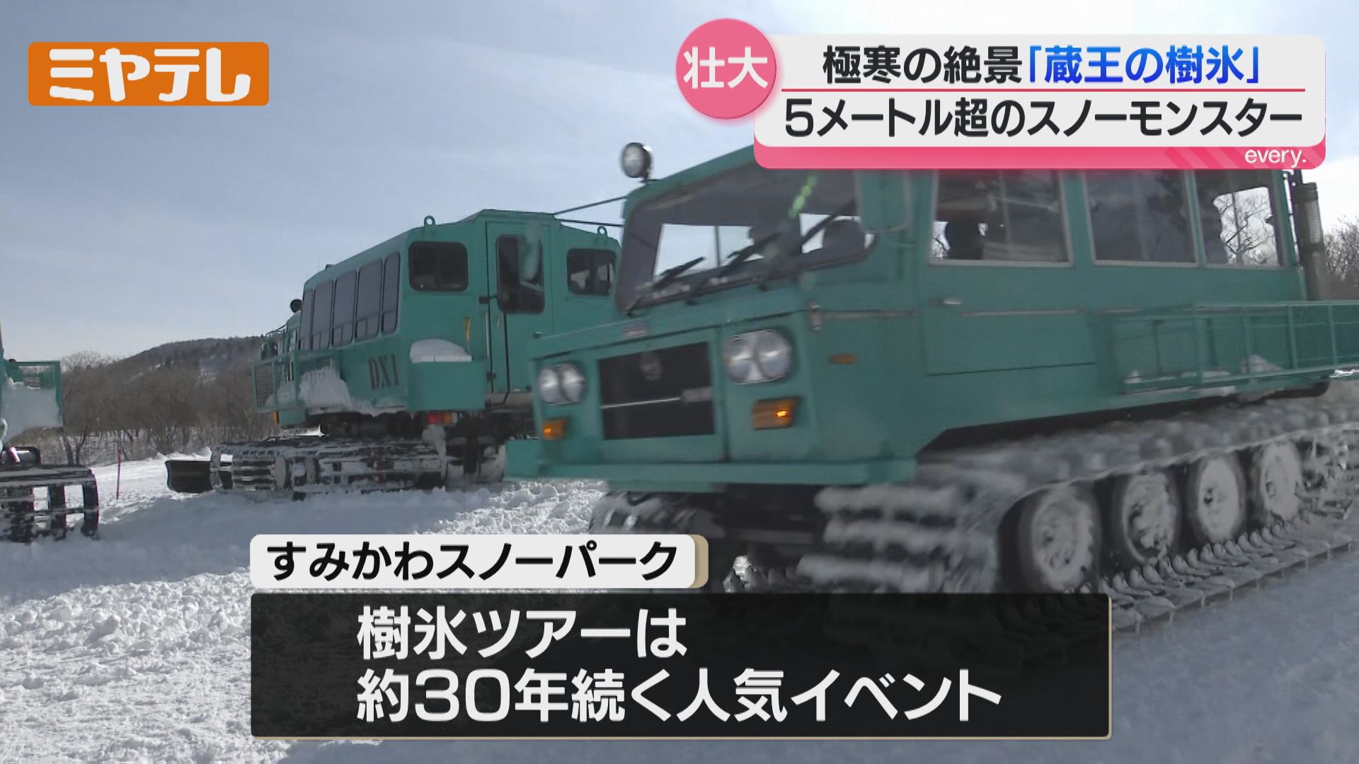 空からも…蔵王の『樹氷』、迫力ある