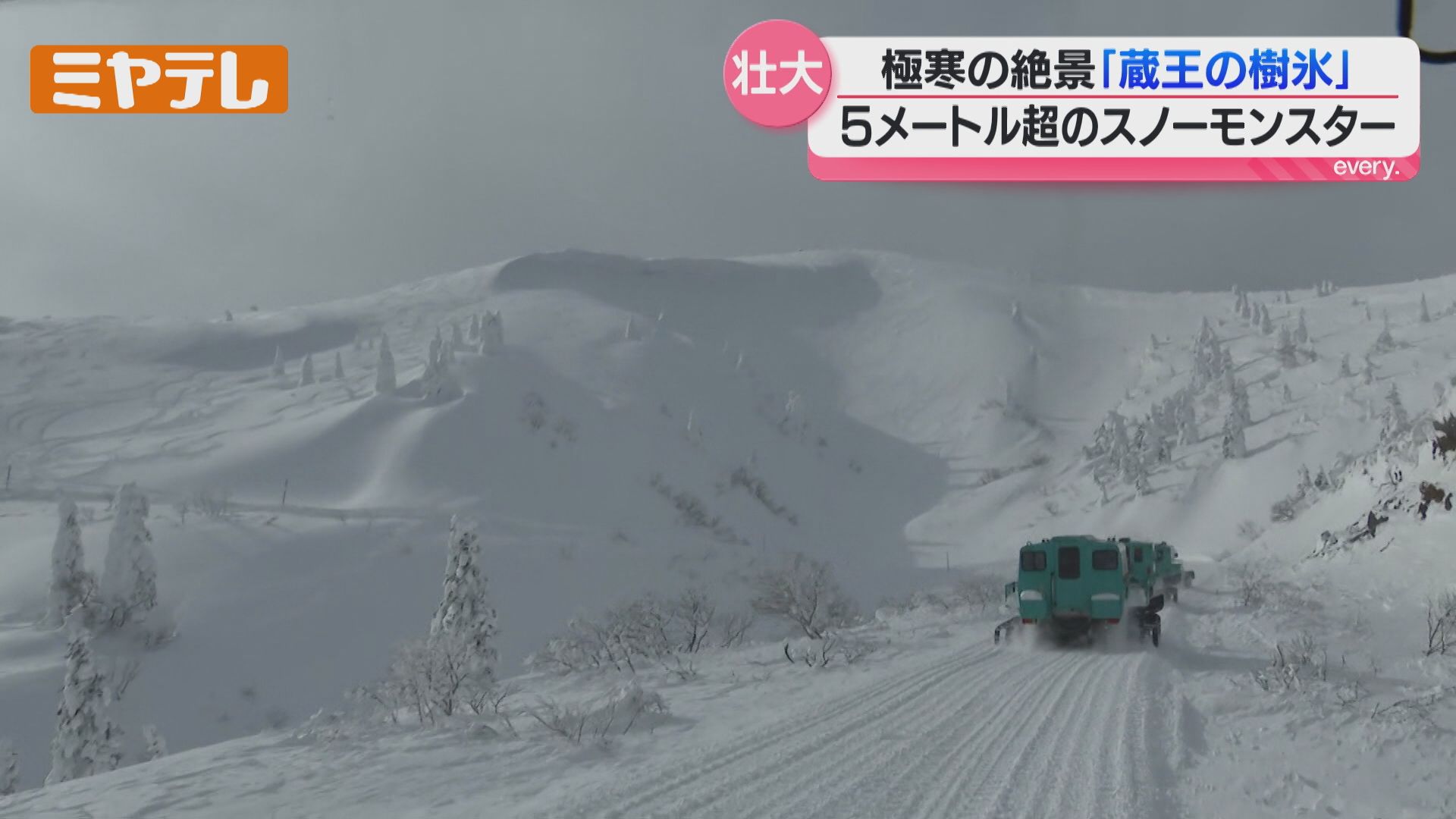 空からも…蔵王の『樹氷』、迫力ある