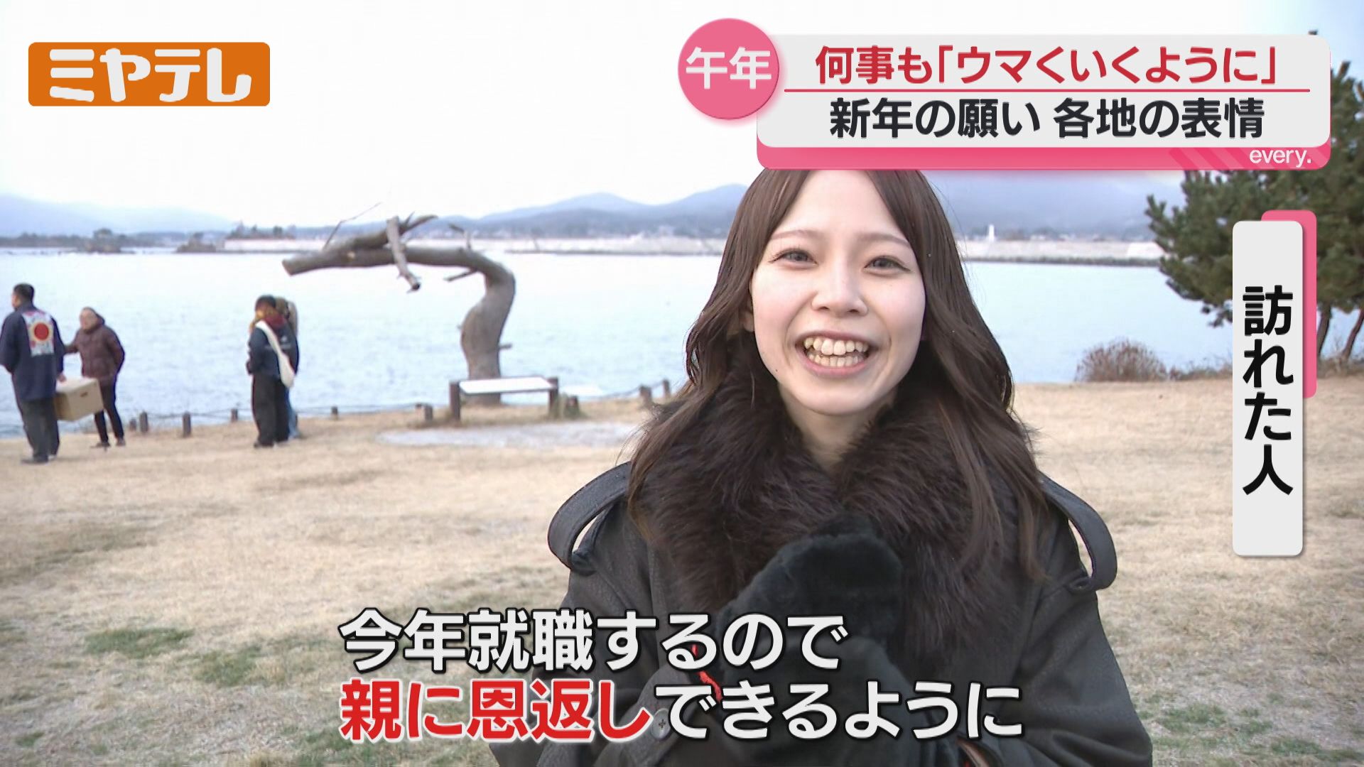 午年】新年の願いを各地で聞く…元気に駆け抜けられますように（宮城