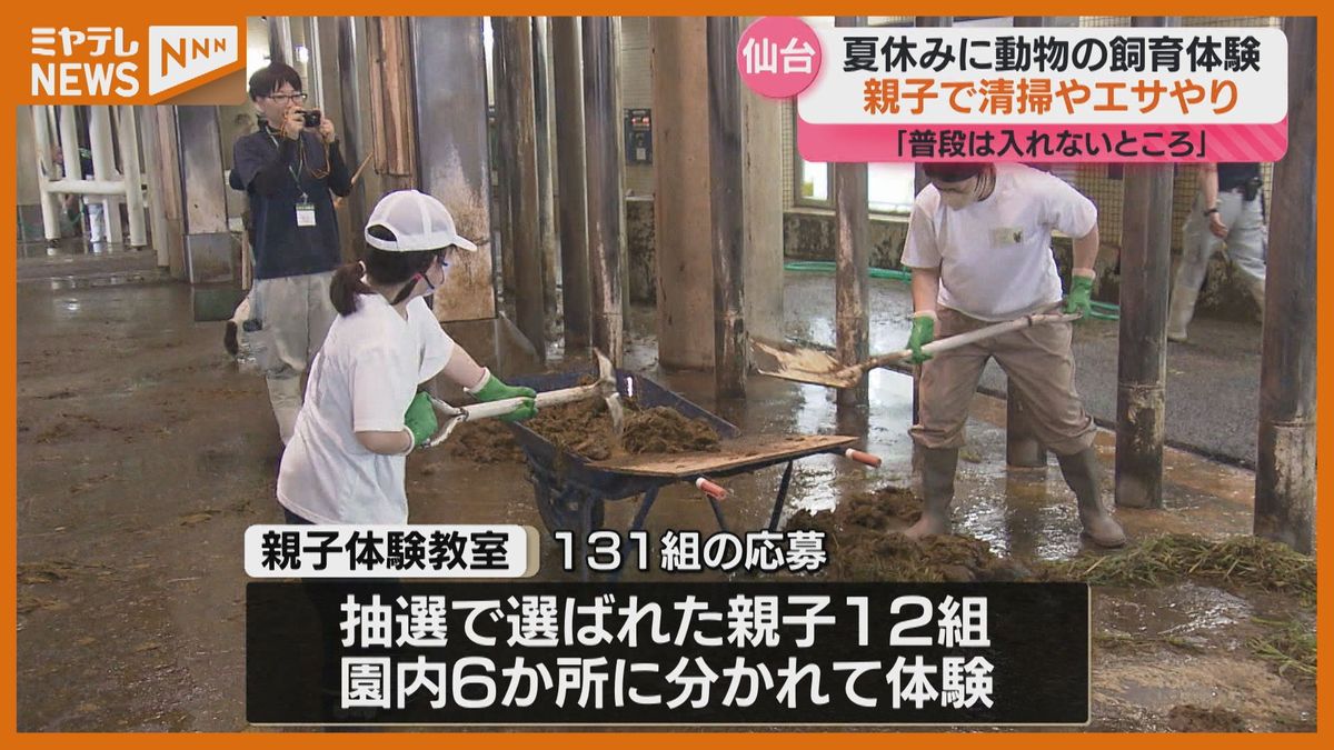 動物園で倍率10倍超の人気イベント！親子で飼育体験「普段は入れないところで…」仙台市