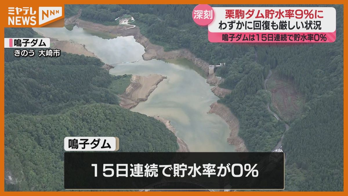 鳴子 ダム 貯水 率