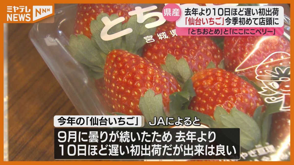 ＜イチゴのシーズン到来＞『仙台いちご』の出荷始まる　「甘みと酸味のバランスが非常によい。生食とスイーツで召し上がれ」