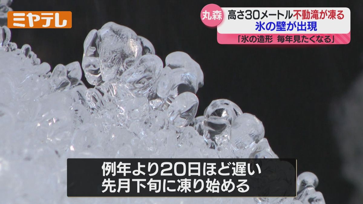 高さ 30メートル、山中に凍った"不動滝"…美しい氷の壁出現「毎年この時期になると見たくなる」宮城・丸森町