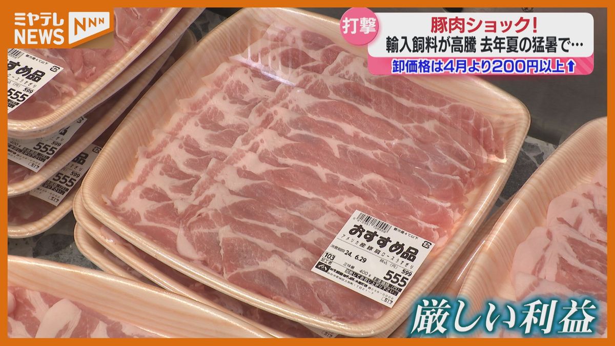 ＜家計の味方＞のはずの豚肉が高い！養豚場に聞いたそのワケは？「物価高騰、円安に加え…」