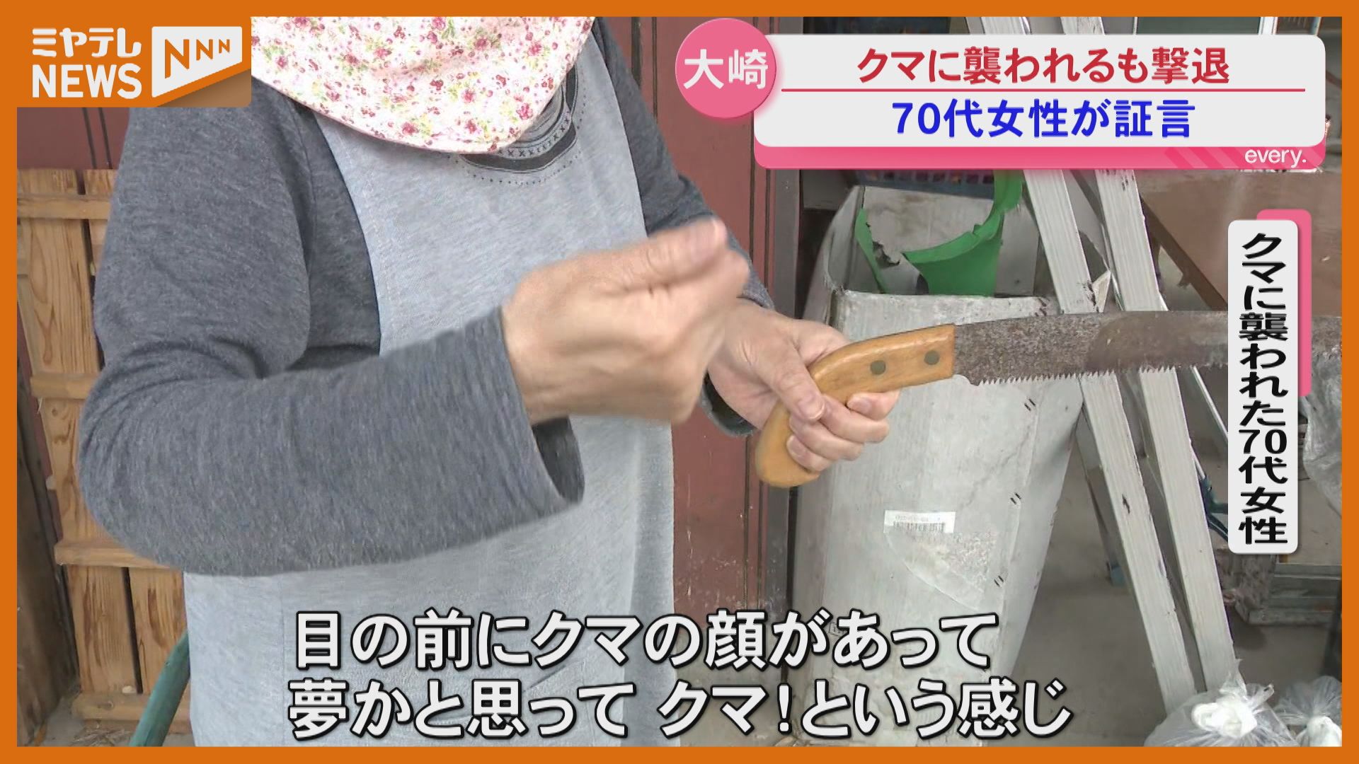 カメラに証言】クマに襲われた70代女性…追い払おうとしてけが（宮城