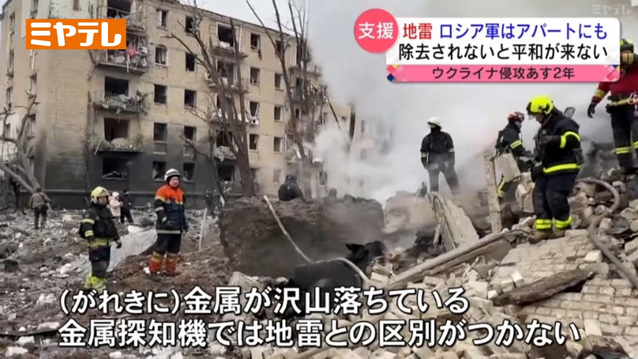 地雷探知の人 announcement-thumbnail-p137525