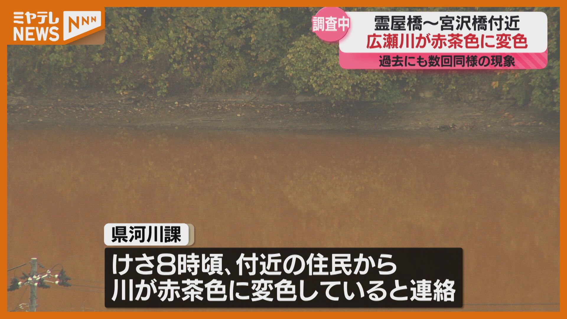 みみみ　天然石　翡翠 飛騨荒城川上流で発見 ナミビアンジェード（ナミビア翡翠）原石丸磨き212g 天然石販売