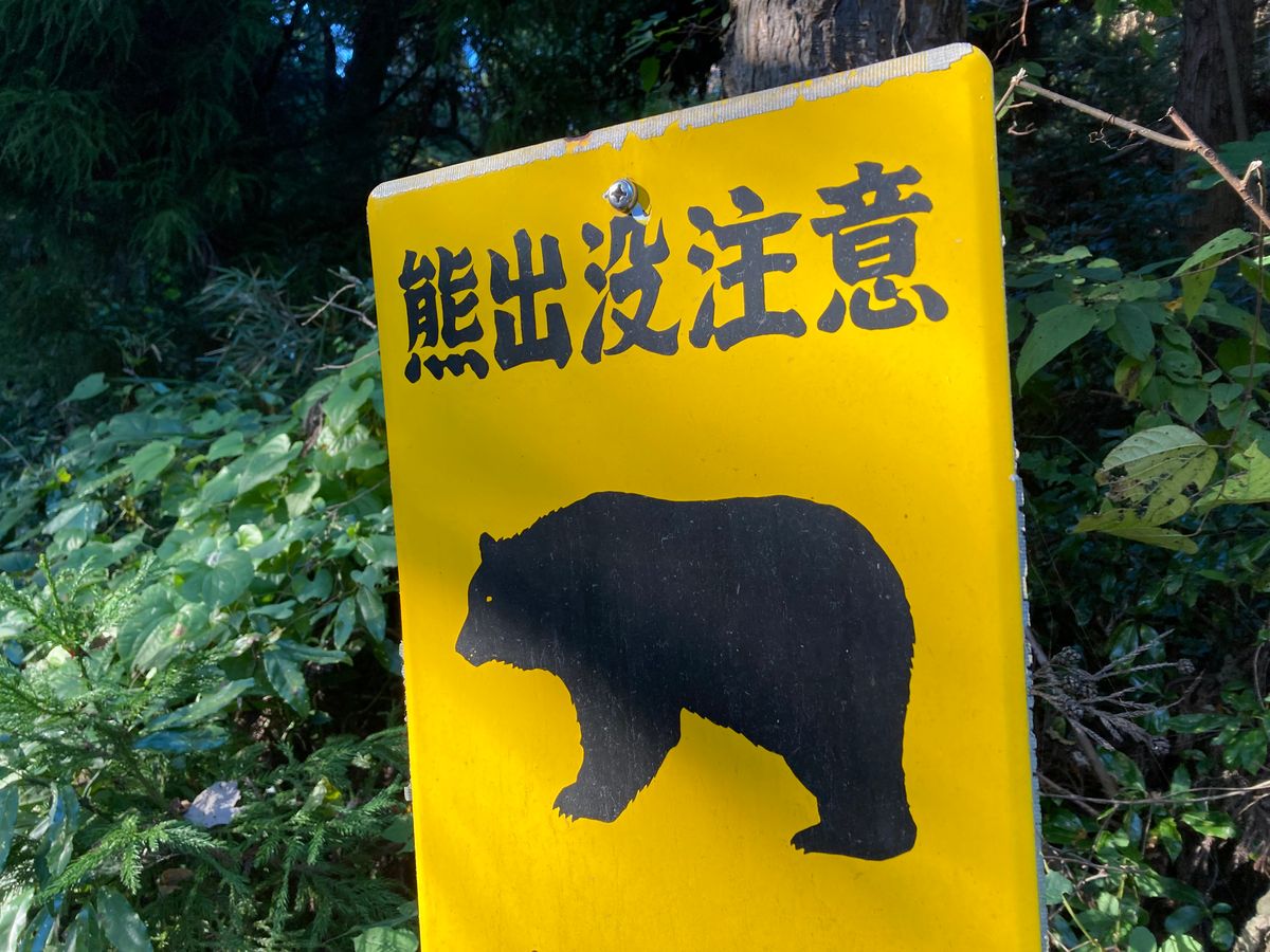 【クマ3頭が柿の木に…】空き家の敷地内に出没　警察が注意呼びかけ＜宮城・加美町＞