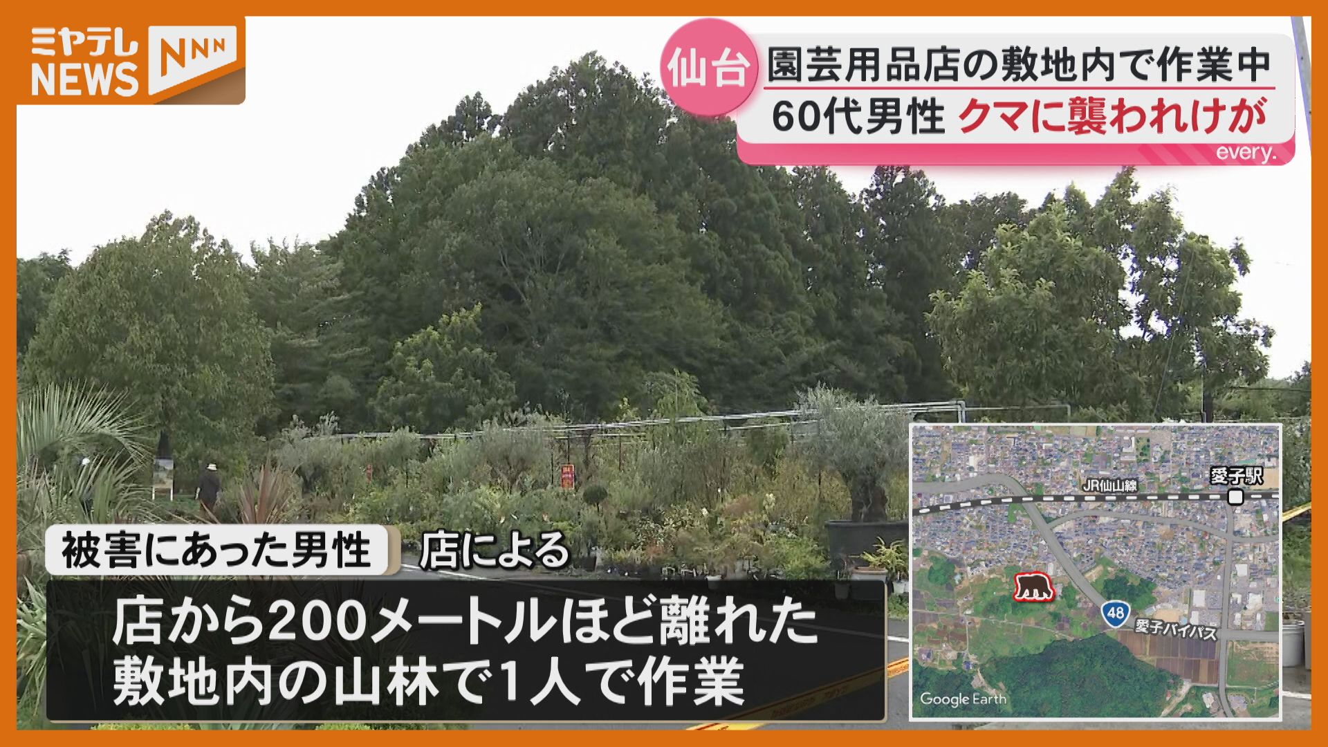 最新】園芸用品店敷地内の山林でクマに襲われ60代男性けが〈宮城