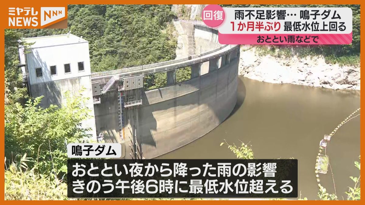 鳴子 ダム 貯水 率