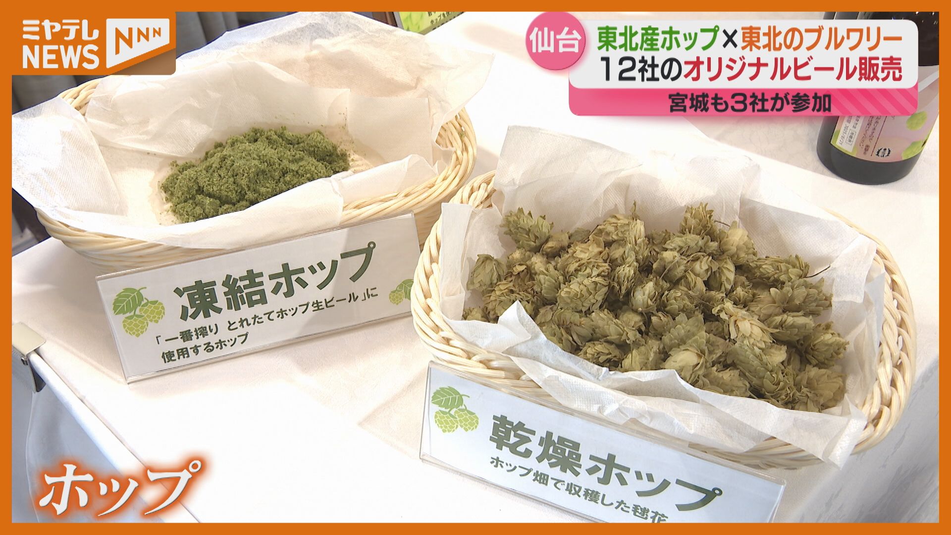 東北で今年穫れた“ホップ”使って＞12社が醸造したクラフトビール販売