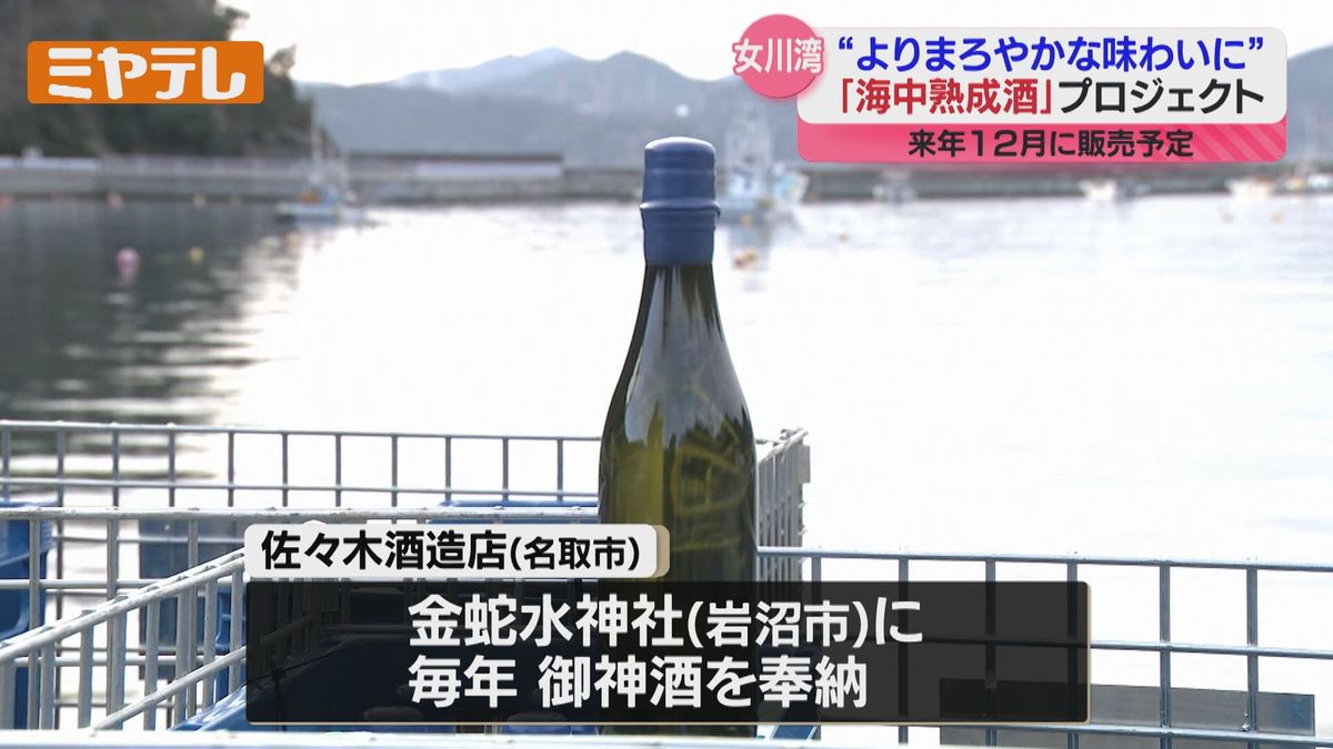 お神酒を“海中熟成”、酒造会社と神社が海に日本酒沈めて熟成させる 