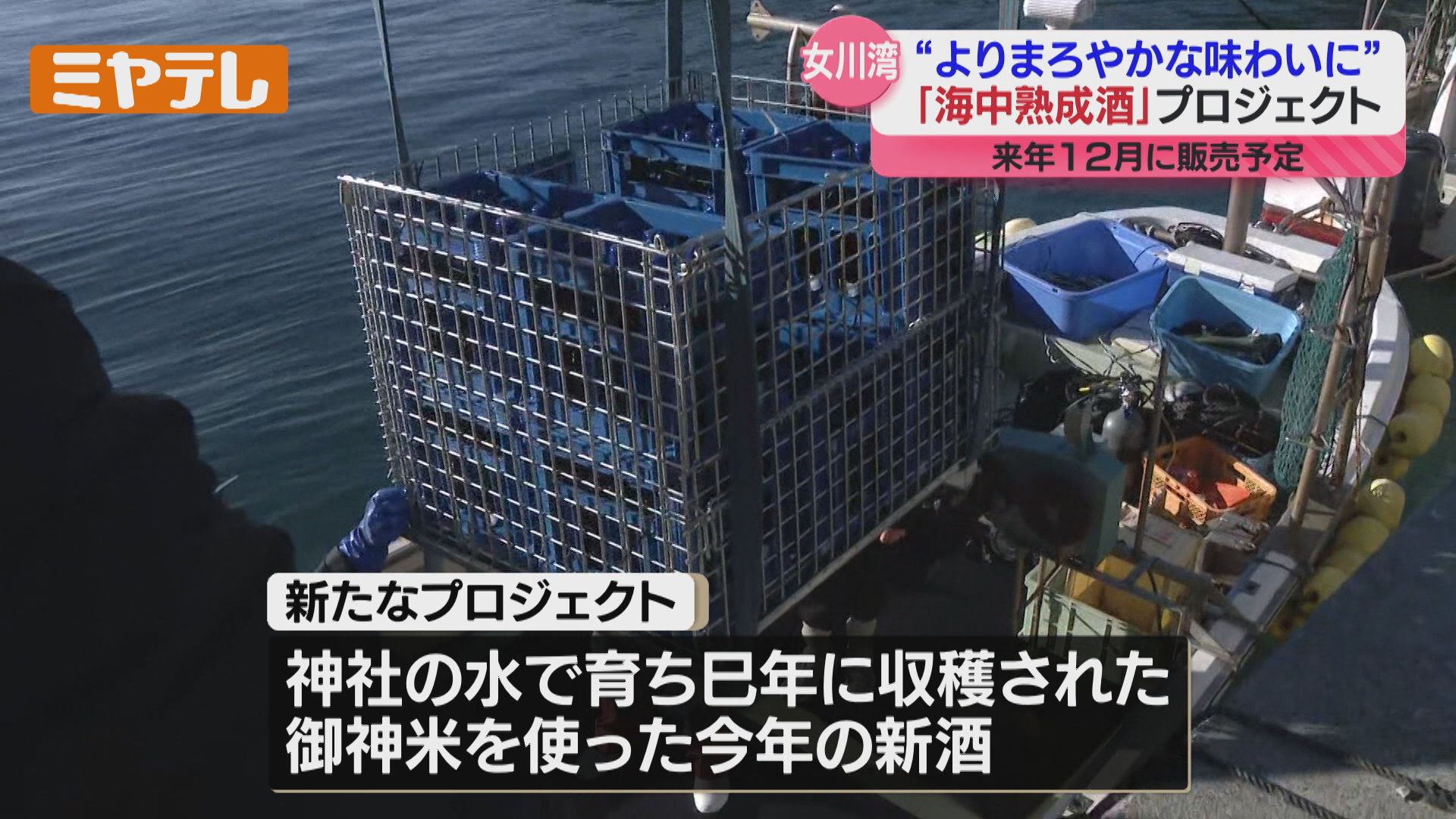 お神酒を“海中熟成”、酒造会社と神社が海に日本酒沈めて熟成させる