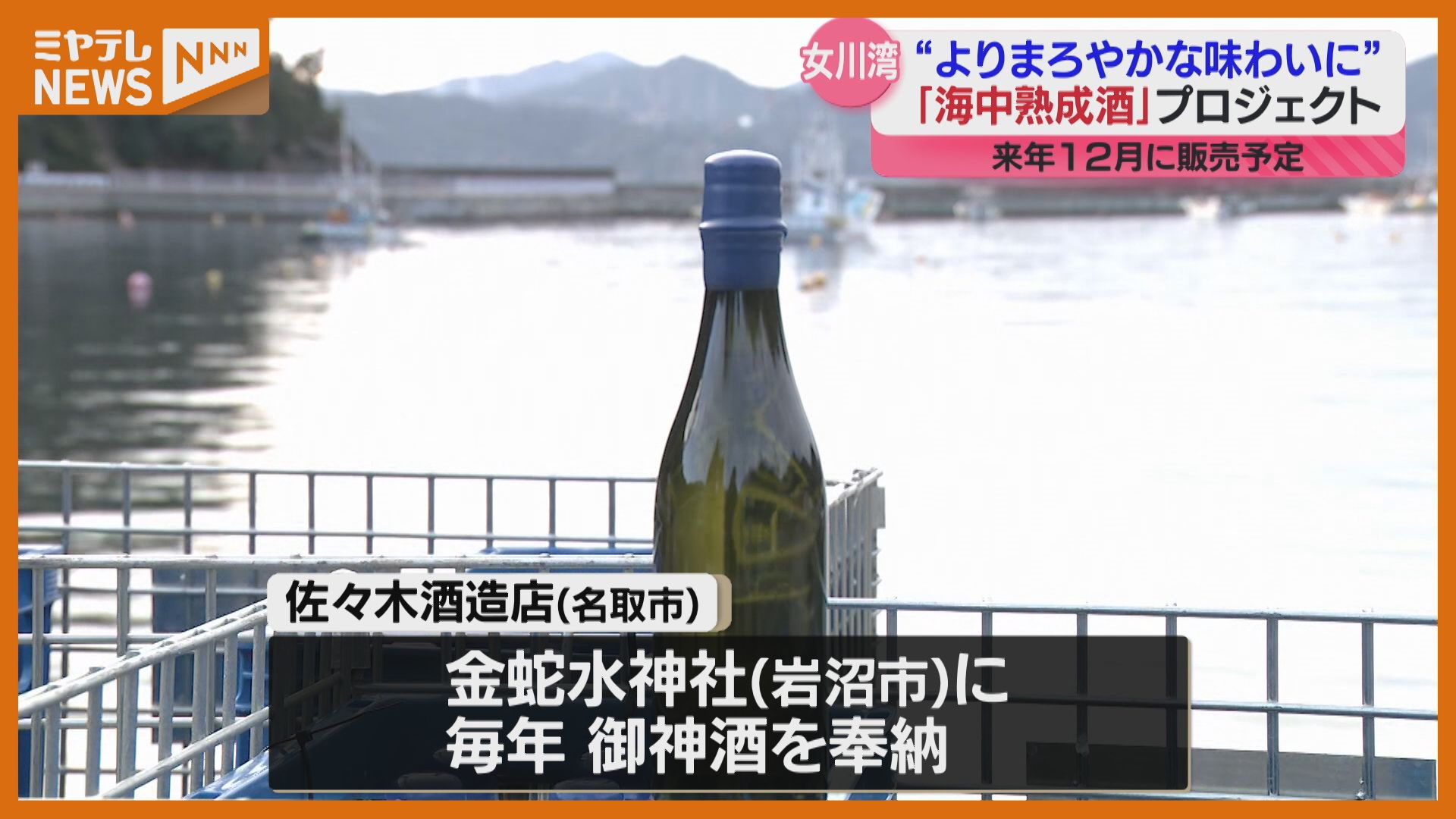 海中出品 お神酒を“海中熟成”、酒造会社と神社が海に日本酒沈めて熟成させる