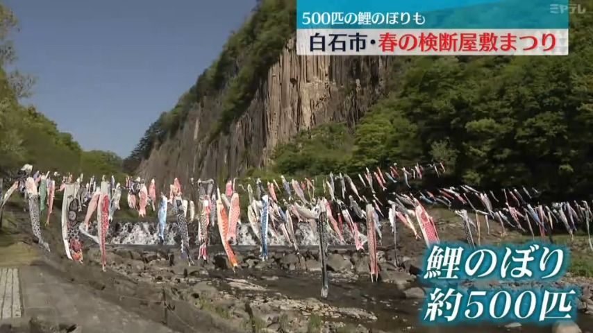 500匹の鯉のぼり「春の検断屋敷まつり」宮城・白石