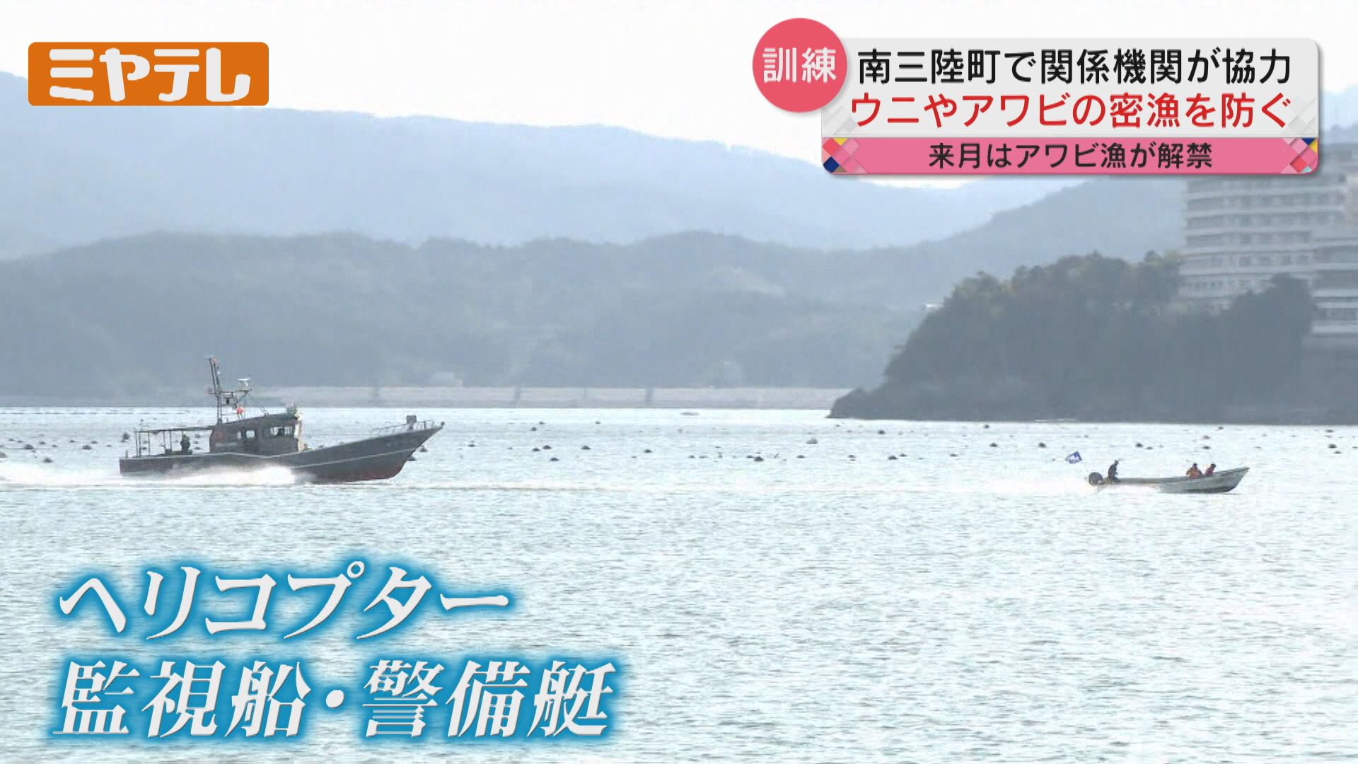 103031 ドジシール