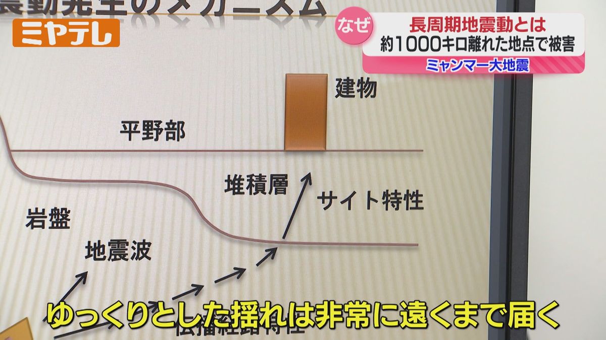 専門家に聞く『長周期地震動』の特徴、地震発生はミャンマーなのに…タイでビル倒壊（2025年4月2日掲載）｜ミヤテレNEWS NNN