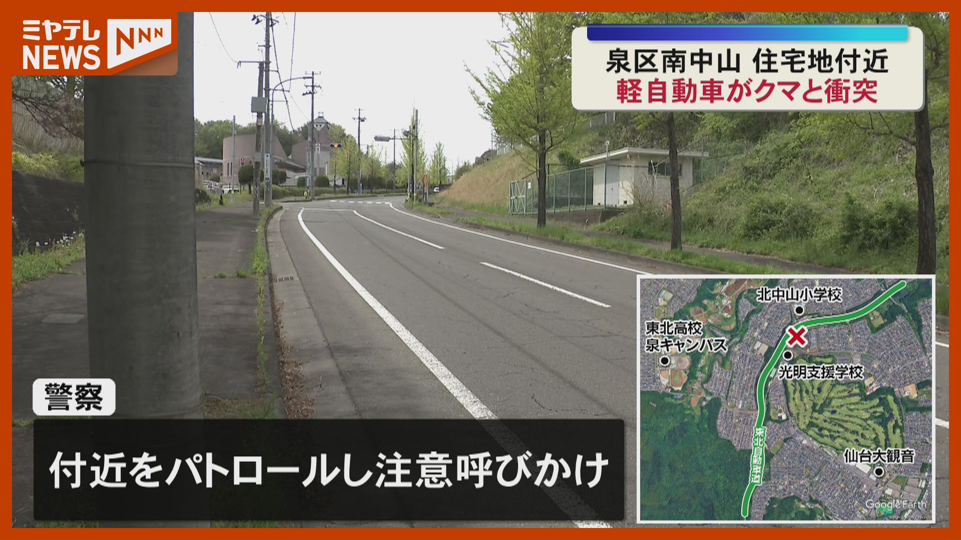 体長 約1.5メートル…路上に飛び出した『クマ』に軽自動車が衝突、仙台