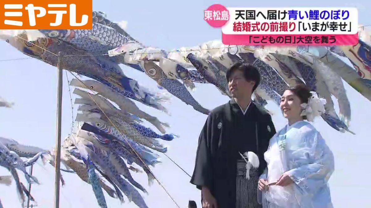 青い鯉のぼり　宮城・東松島