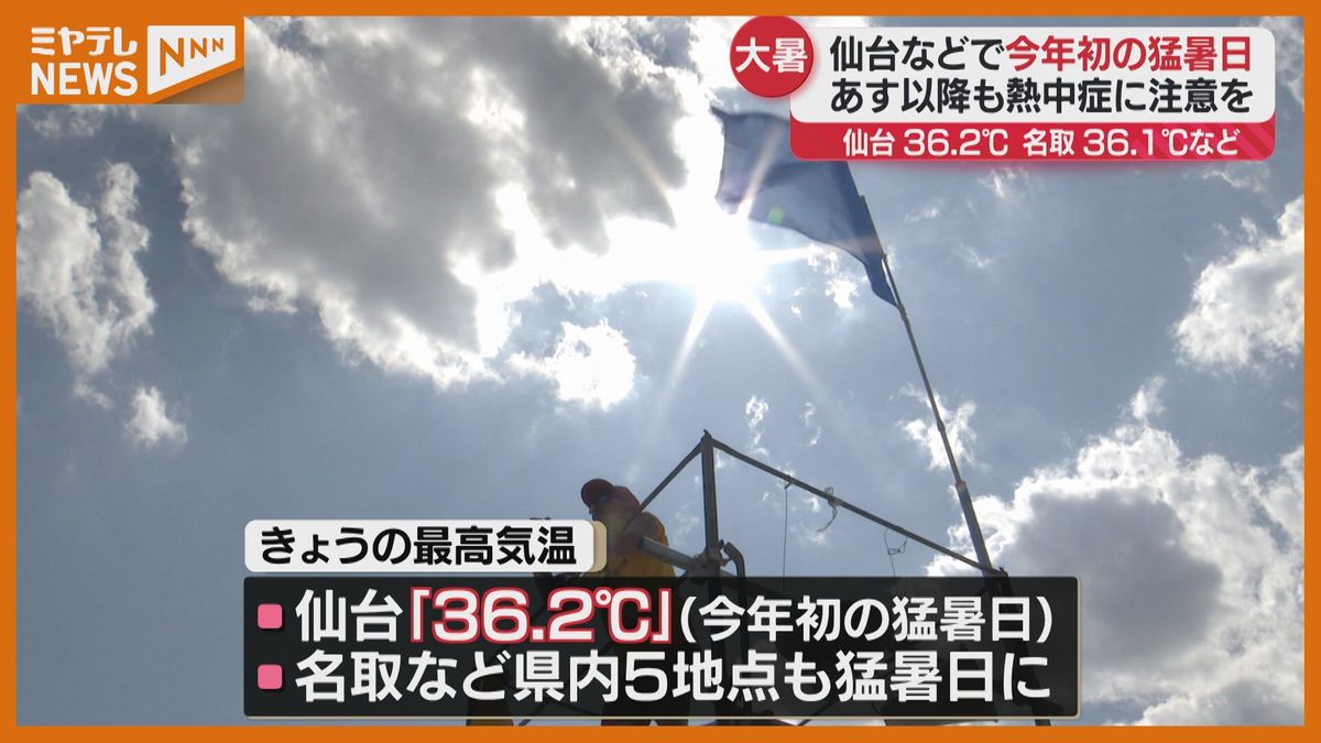 ＜暑さでライオンがへばっている…＞「仙台」で36.2℃と今年初めての『猛暑日』　『熱中症』とみられる症状で宮城県内で52人救急搬送（22日午後5時時点）