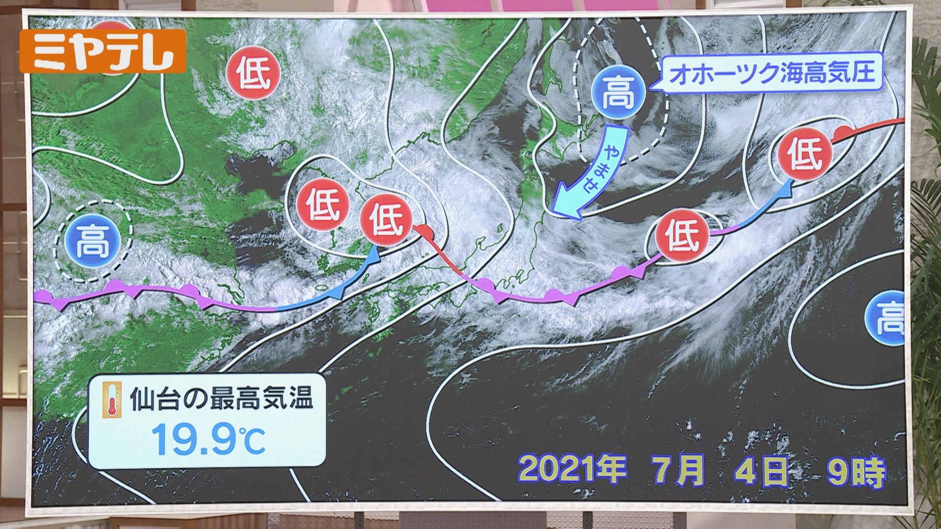 解説】『梅雨寒』という日が今年あまりないのはなぜ？＜蒸し暑い理由