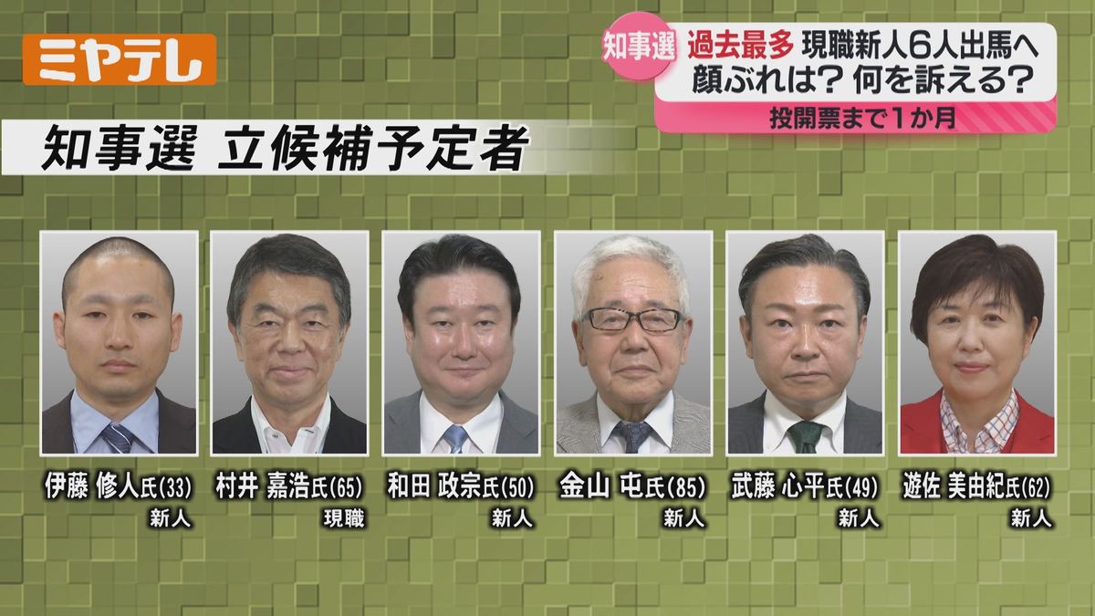 活動歴および当時の関連ビジュアル記録