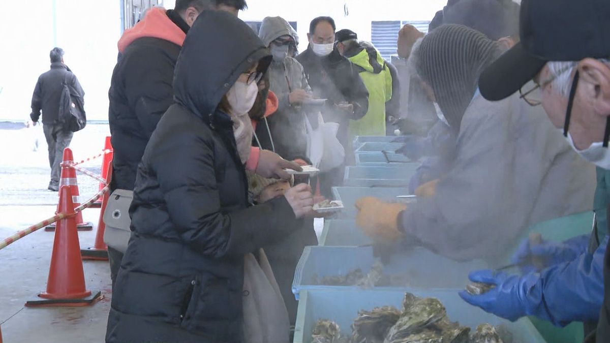 「プリプリでおいしい」志津川湾の新鮮なカキを味わう＜宮城・南三陸町＞