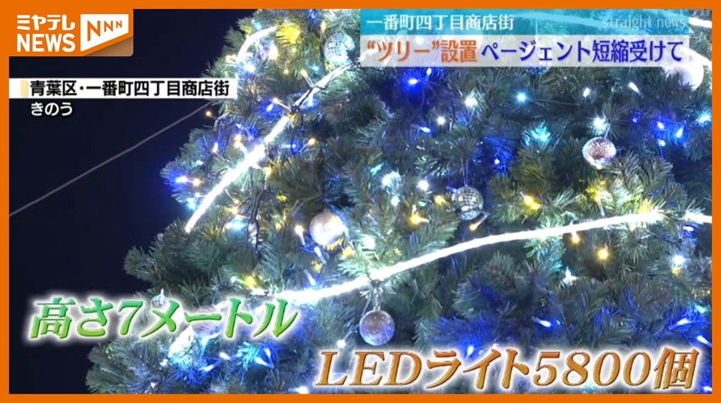 ＜”初めて”設置＞高さ7メートルのクリスマスツリー　『SENDAI光のページェント』点灯区間・短縮受けて（仙台市・一番町四丁目商店街）