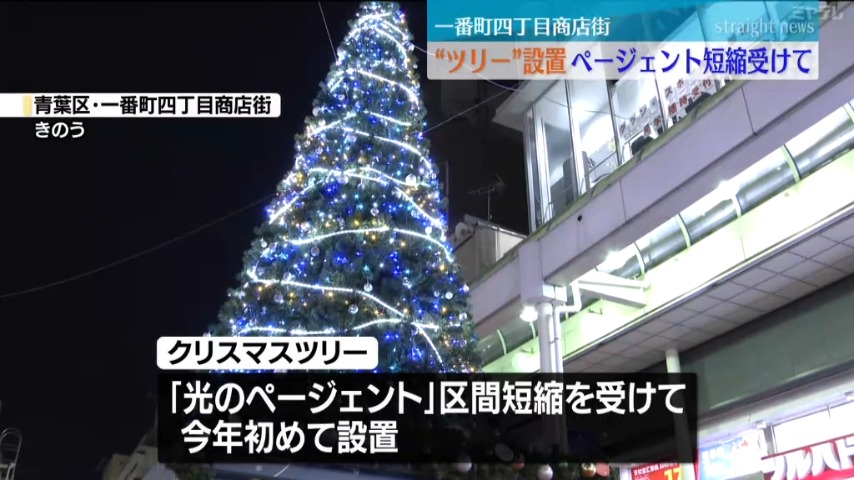 初めて”設置＞高さ7メートルのクリスマスツリー 『SENDAI光の