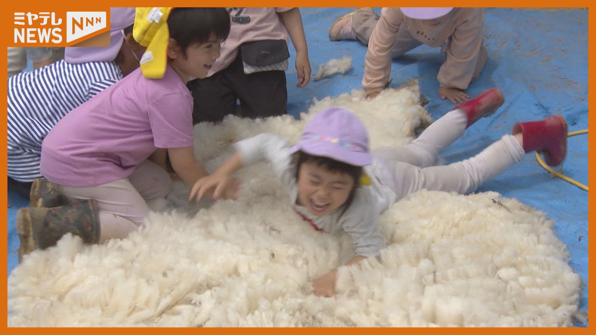 ふわふわだった」夏を前にヒツジの毛刈り（仙台市のこども園）（2025年