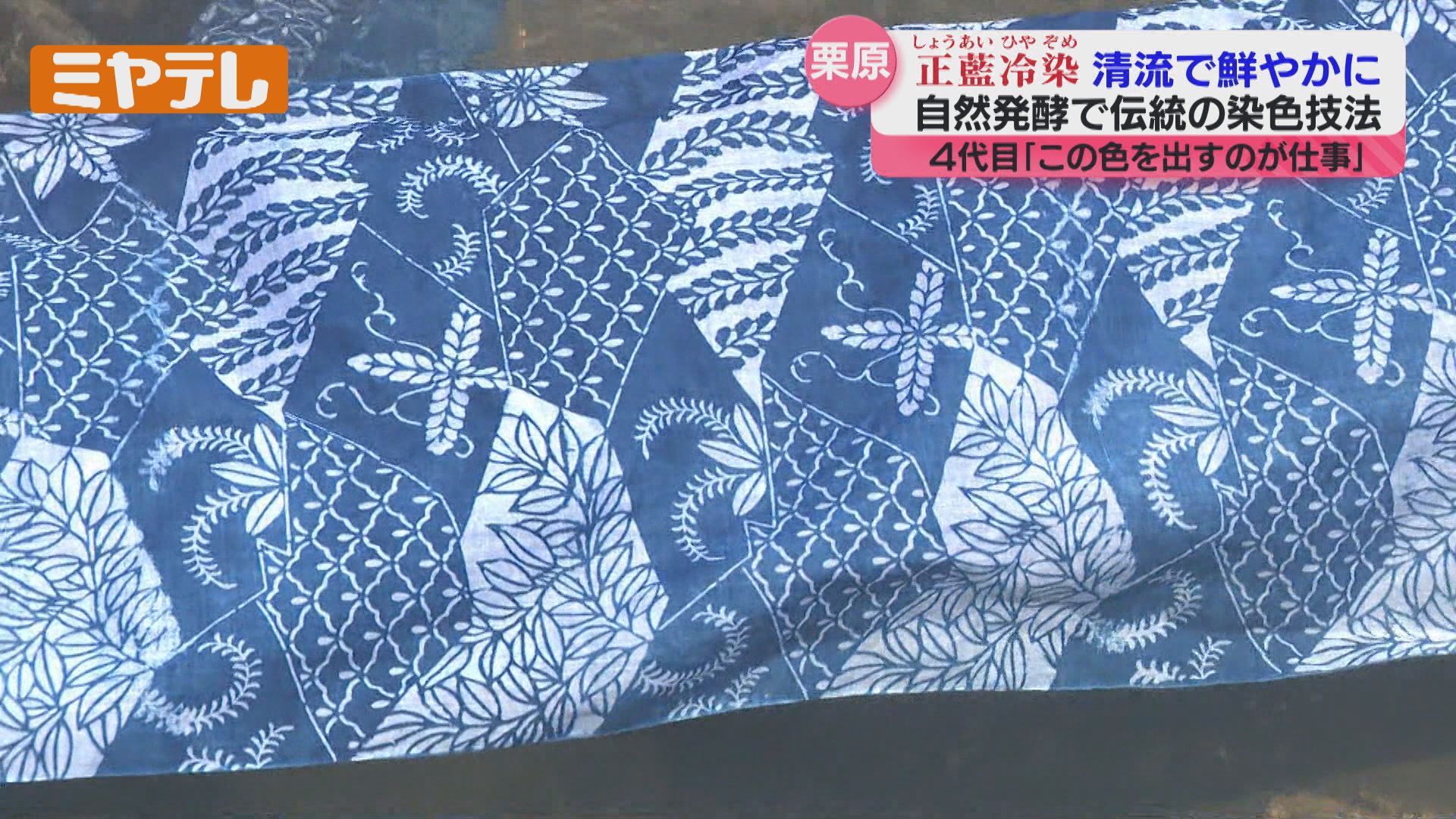 日本最古”の染色技法『正藍冷染』、作業が最盛期…藍を自然発酵させて