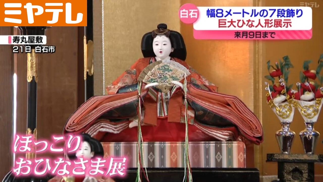 幅8メートルのひな壇に100体超えるひな人形、明治～昭和時代の