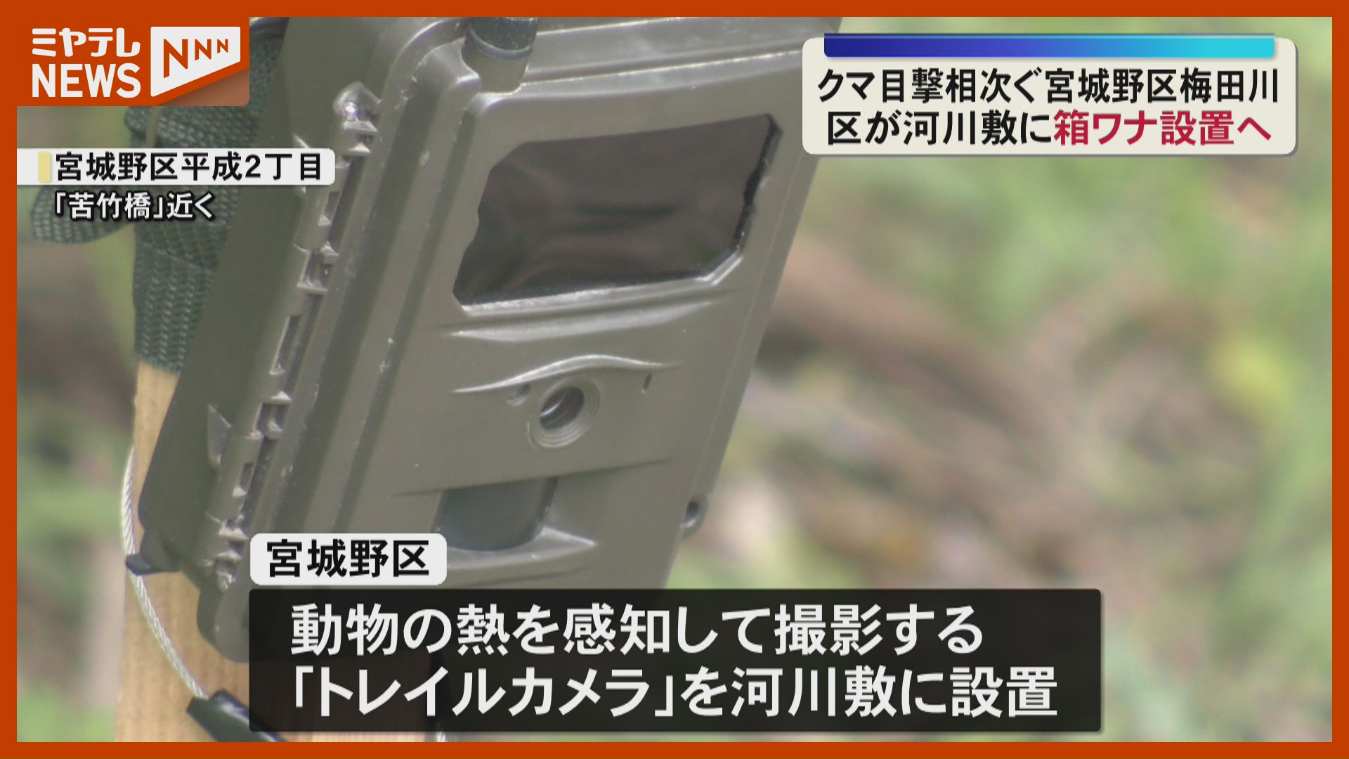 住宅街でクマ目撃相次ぐ 河川敷に“箱わな”設置へ〈宮城・仙台市