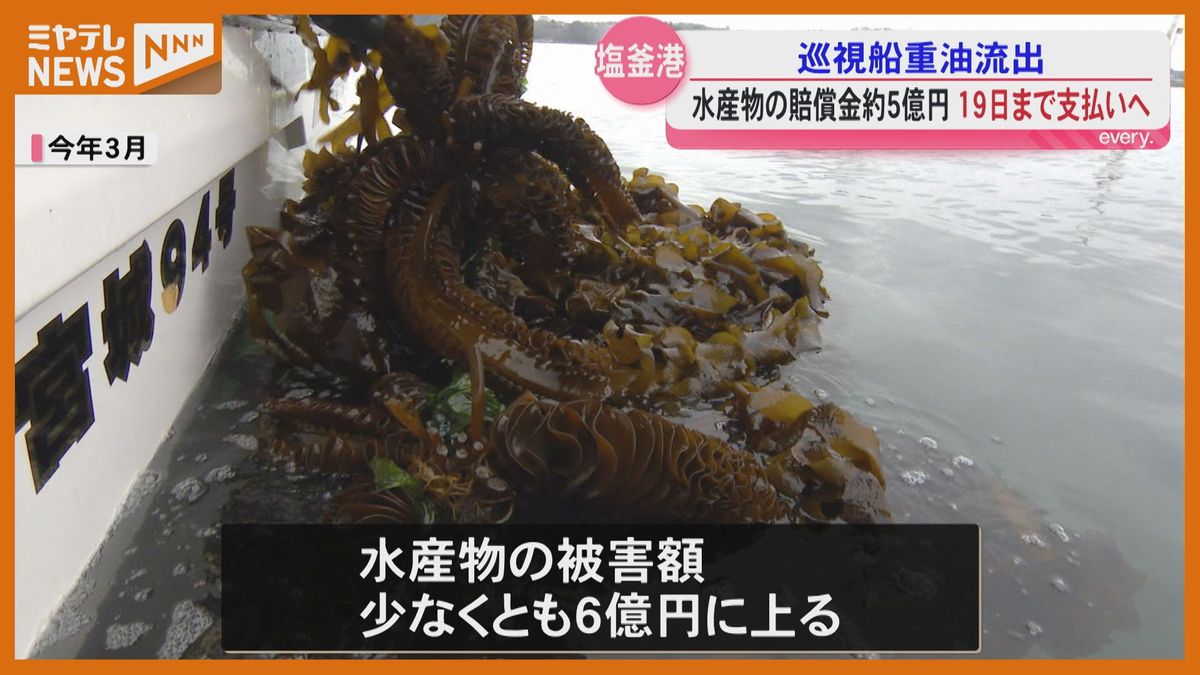 5億円】19日までに支払いへ、巡視船から重油流出で…5月までに被害額 