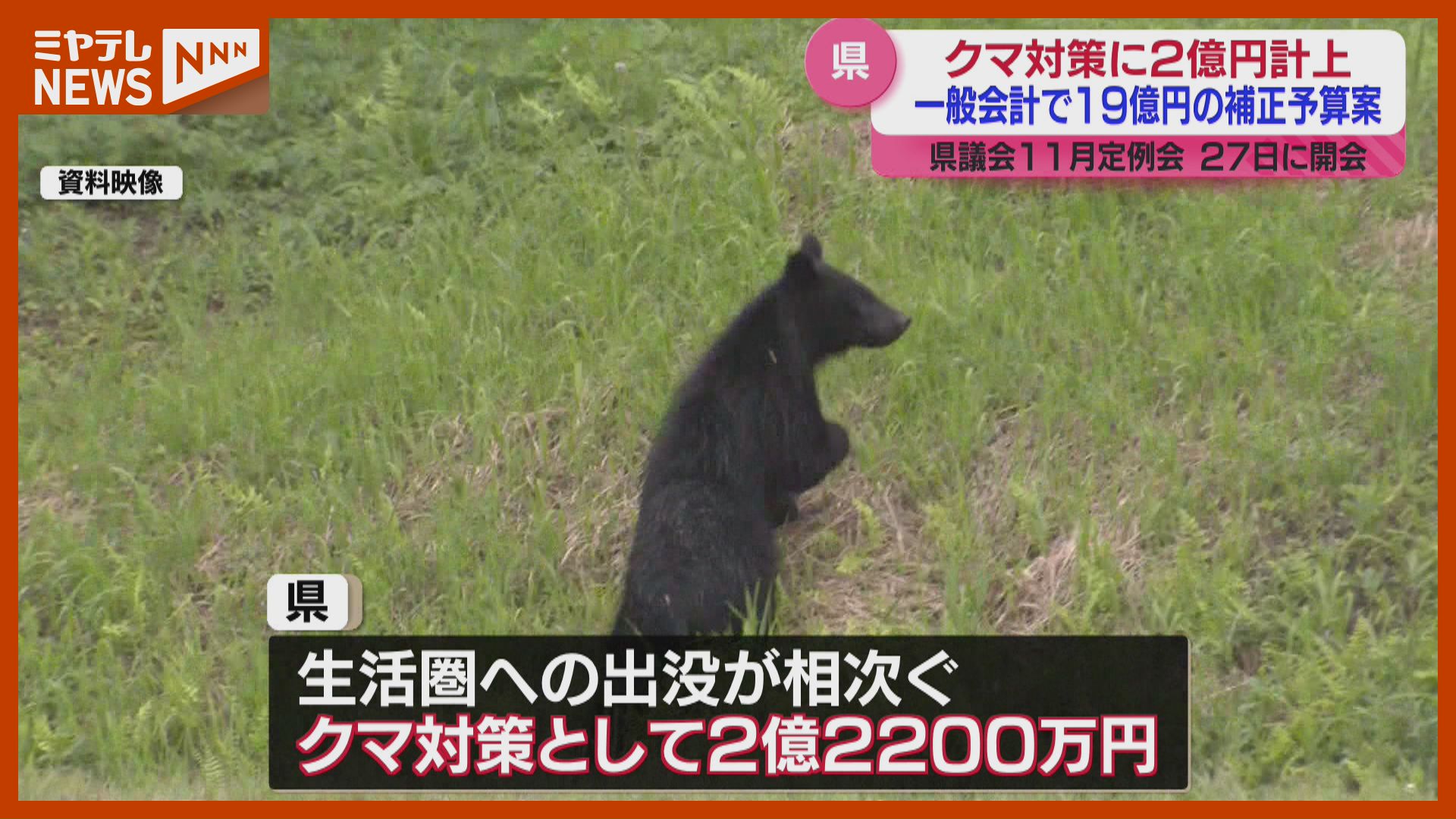 クマ対策に2億円↑】盛り込んだ補正予算案…木の伐採や捕獲の報酬など