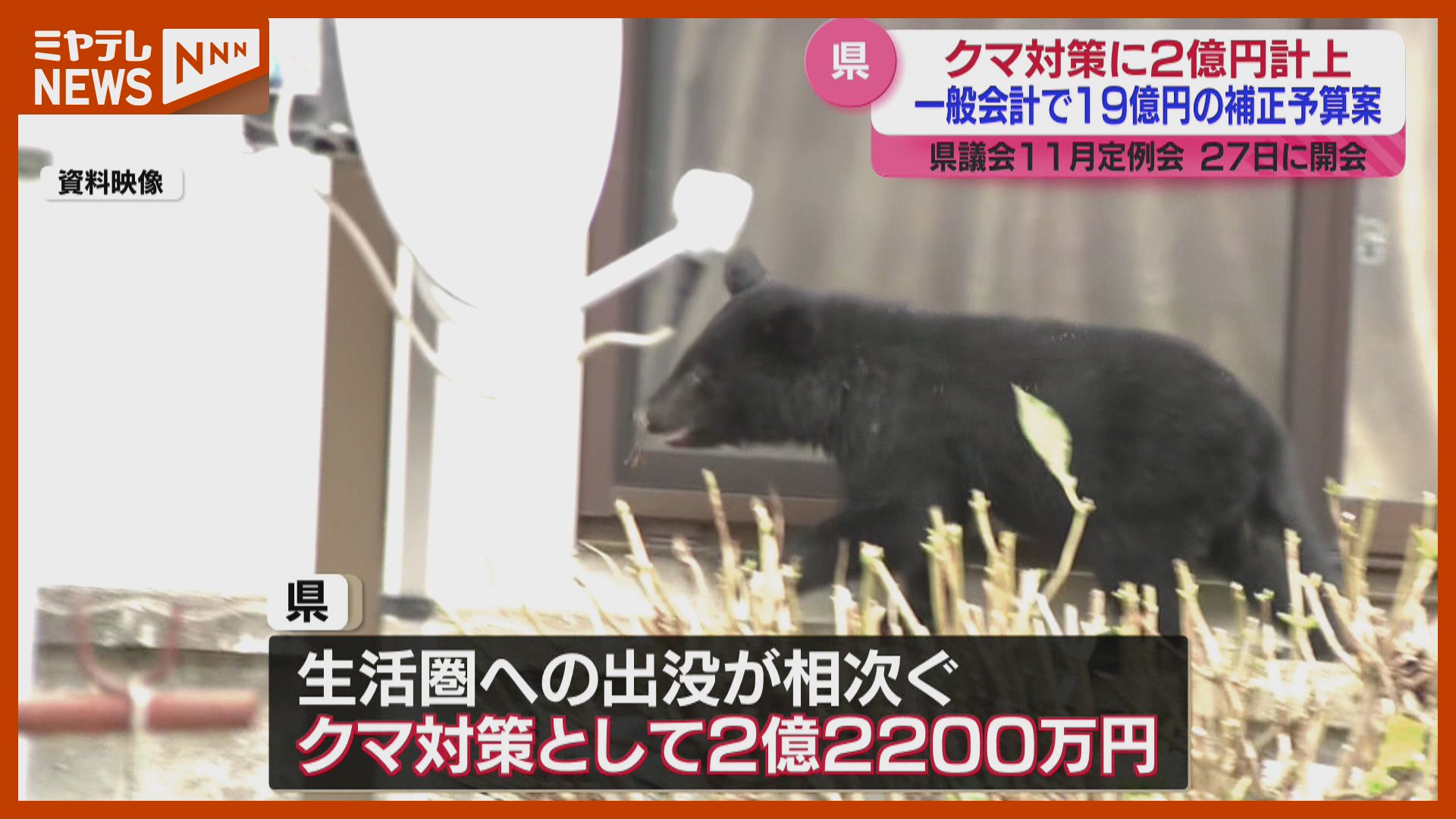 クマ対策に2億円↑】盛り込んだ補正予算案…木の伐採や捕獲の報酬など