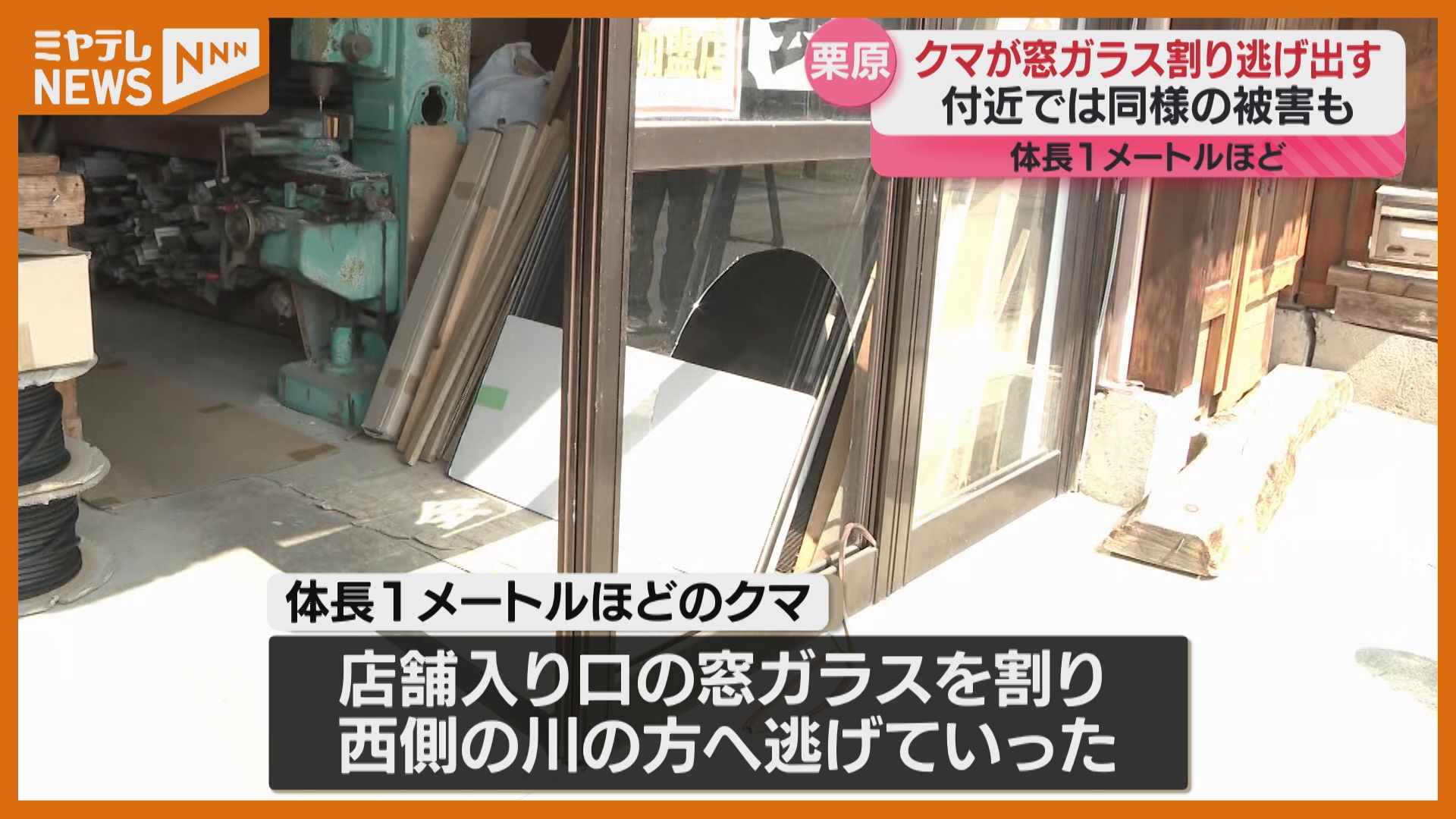ものの何秒かのうちにクマが入ってきた」店舗兼住宅に体長1メートルの