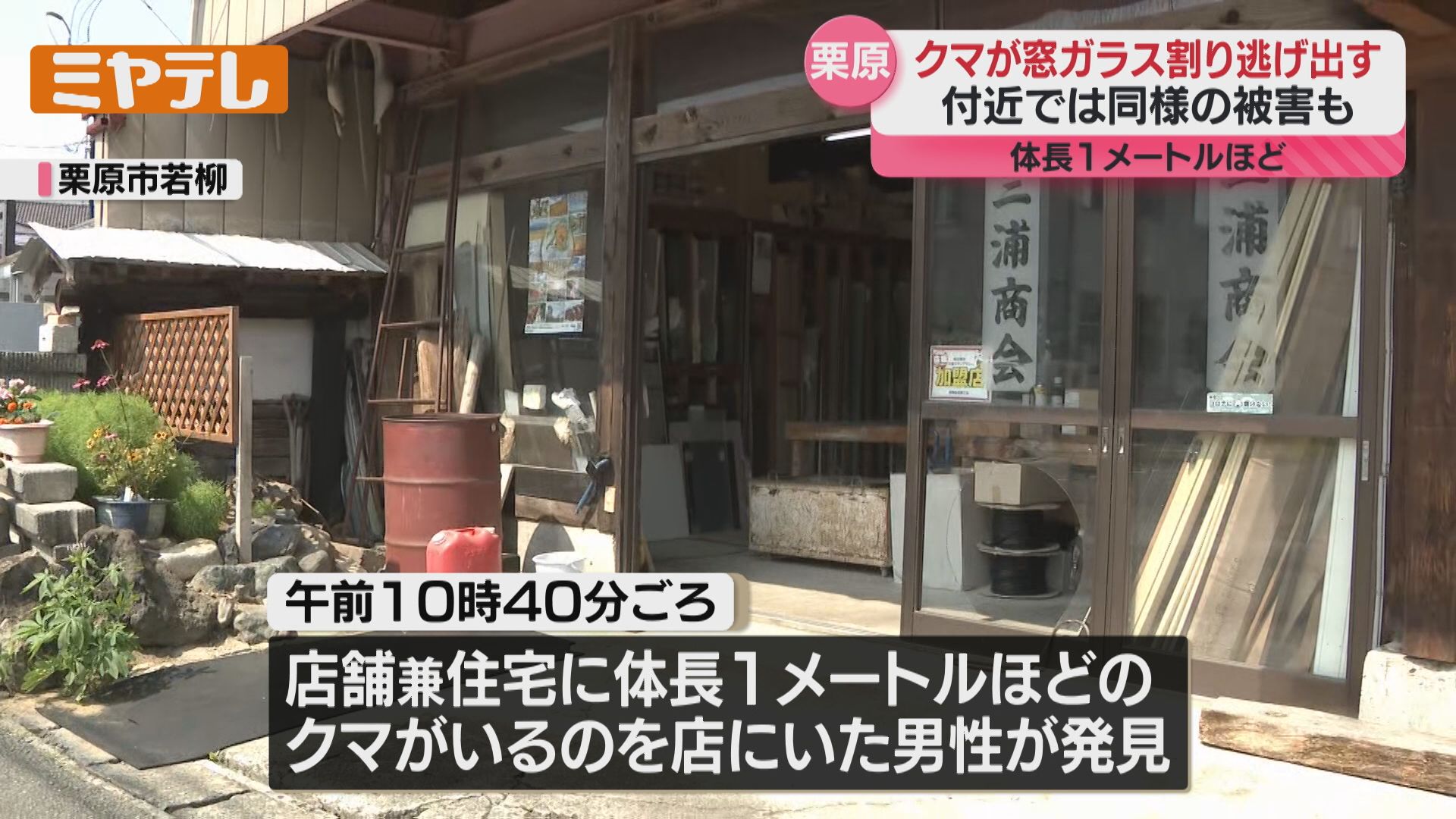 ものの何秒かのうちにクマが入ってきた」店舗兼住宅に体長1メートルの