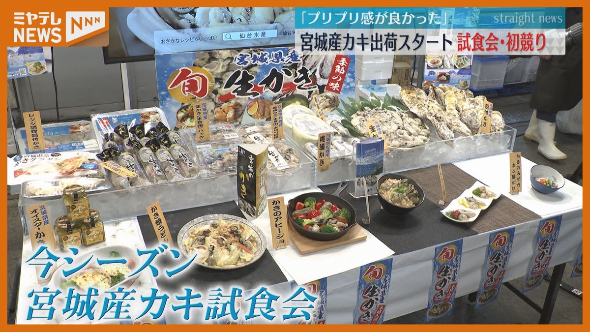 カキのシーズン到来！海水温高い影響で例年より1か月遅い初競り　試食した人「プリプリ感が良かった」宮城