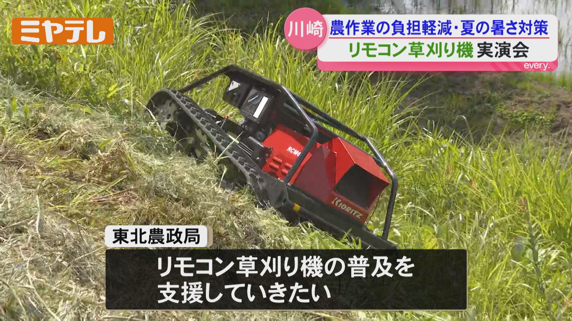 新品☆リモコン操作　草刈り機 思ったように操作できます」農作業の負担を軽減へ…リモコン操作の