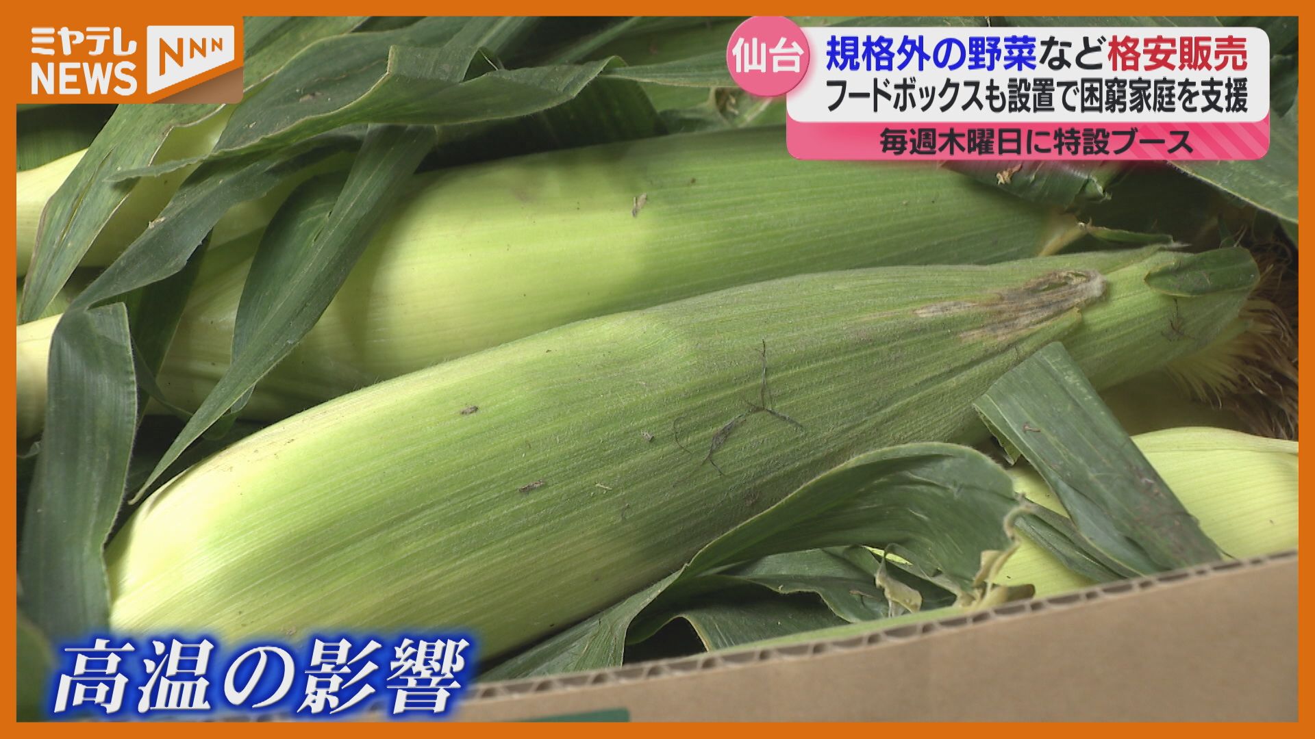 無駄なものがなくなり、困っている人に回る」“規格外”の野菜・果物を