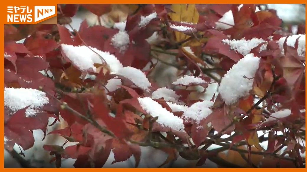 仙台で初雪＜仙台管区気象台発表＞