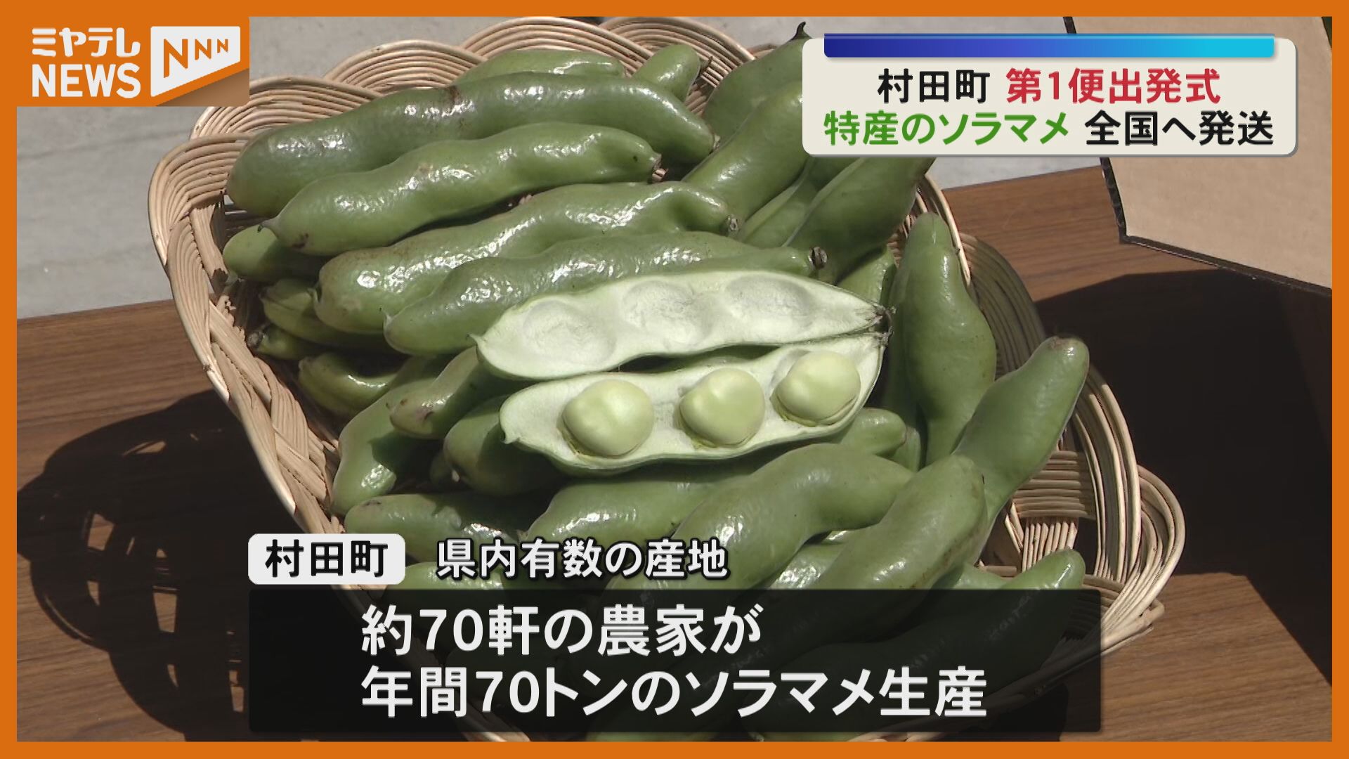 旬のソラマメ全国へ 村田町で初出荷の出発式（2026年5月26日掲載